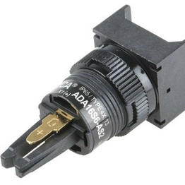 RS 7452458 image