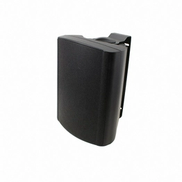 WB 13 - 100 V/8 OHM (BLACK) VISATON