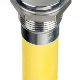 RS 1246408 image