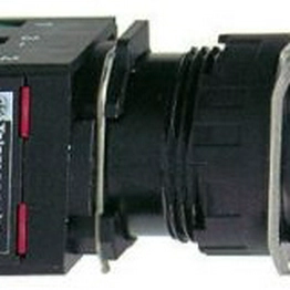 Schneider Electric XB6DD221B image