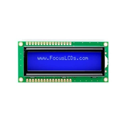 C162A-BW-LW65 FOCUS LCDs