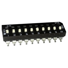 219-10ESRF cts