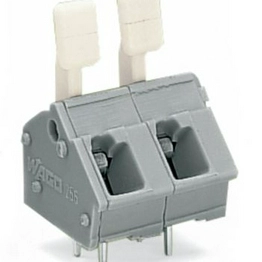 WAGO 256-502/333-000 image