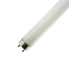 WX-EK7C-4 International Lighting