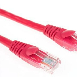 RS 556405 image