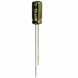 EEUFC1A101S Panasonic