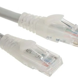RS 556601 image
