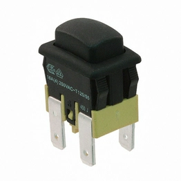 PA41EC1100 E-SWITCH