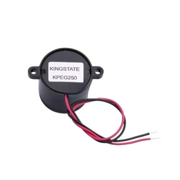 KPEG250 Kingstate Electronics