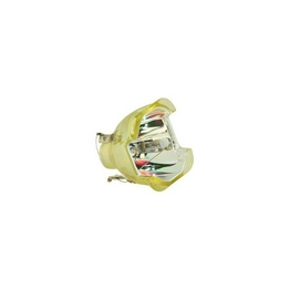 WW-5G8L-9 International Lighting
