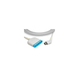 5590539 ECG TRUNK CABLES International Lighting