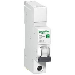 R9F87132 Schneider Electric