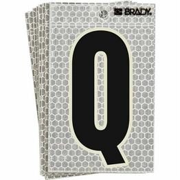 3010-Q BRADY