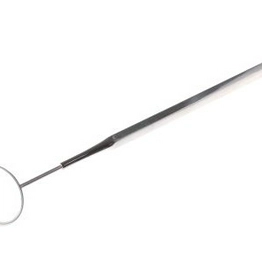 RS 4504310 image