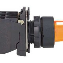 XB5AK135B5 Schneider Electric