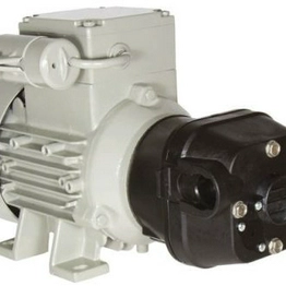 CW474-024 Xylem