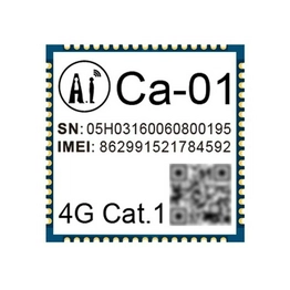 Ai-Thinker Ca-01 image