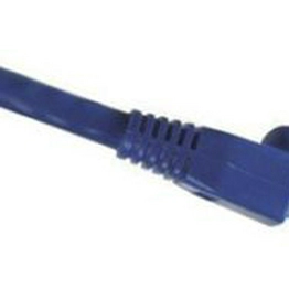 RS 557284 image