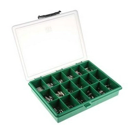 420252 RS