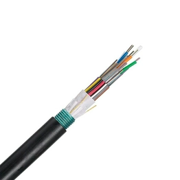 FOWNZ24 PANDUIT