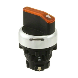 A22RW-2AY OMRON