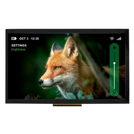 NHD-10.1-1024600BF-LSXP-CTP Newhaven Display