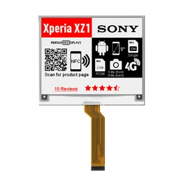 E2417JS0D1 Pervasive Displays