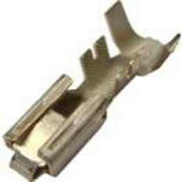 12065893 APTIV