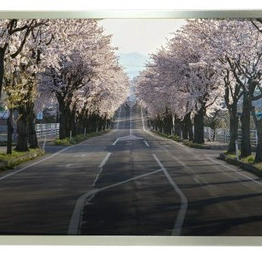RS 2540013 image