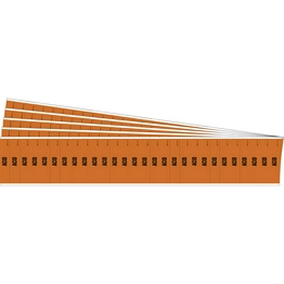 108446-PK BRADY