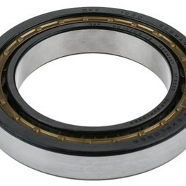 NU 1020 M/C3 SKF