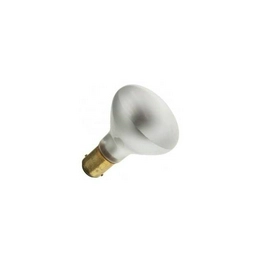 WX-EEL8-0 International Lighting