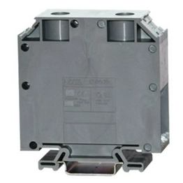 2624205 RS