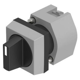 eao 704.510.0 image