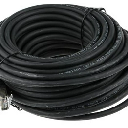 RS 7917021 image