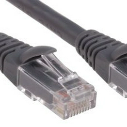 RS 556584 image