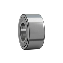 NATR 25 SKF