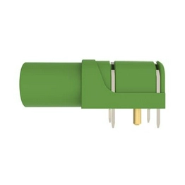 SCHUTZINGER RS SWEB 8094 Au / GN image