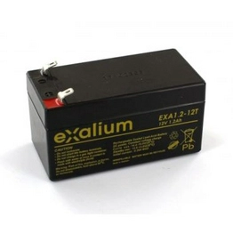 EXA1.2-12T-RS 