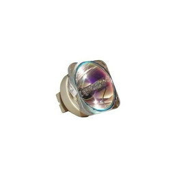 WW-S79T-8 International Lighting