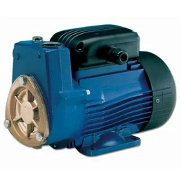 107500A00XAA XYLEM LOWARA