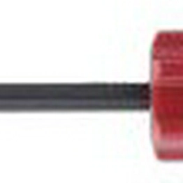 RS 4503519 image