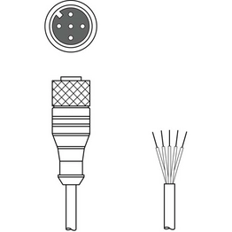 KD S-M12-5A-P1-100 Leuze electronic