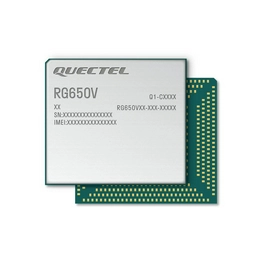 RG650VEU01AA-G93-TA0AA QUECTEL