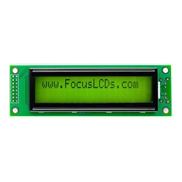 C202B-FTG-LW65 FOCUS LCDs