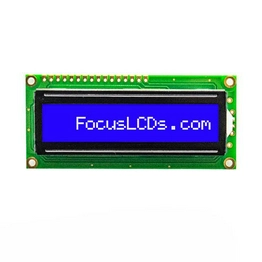 C161A-BW-LW65 FOCUS LCDs