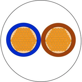 RS 491960 image