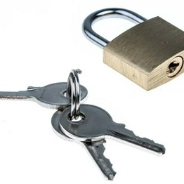 RS 9160268 image