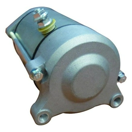 21163-1161 STARTER International Lighting