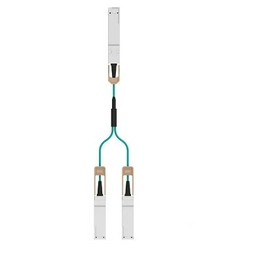 2418081-5 TE Connectivity